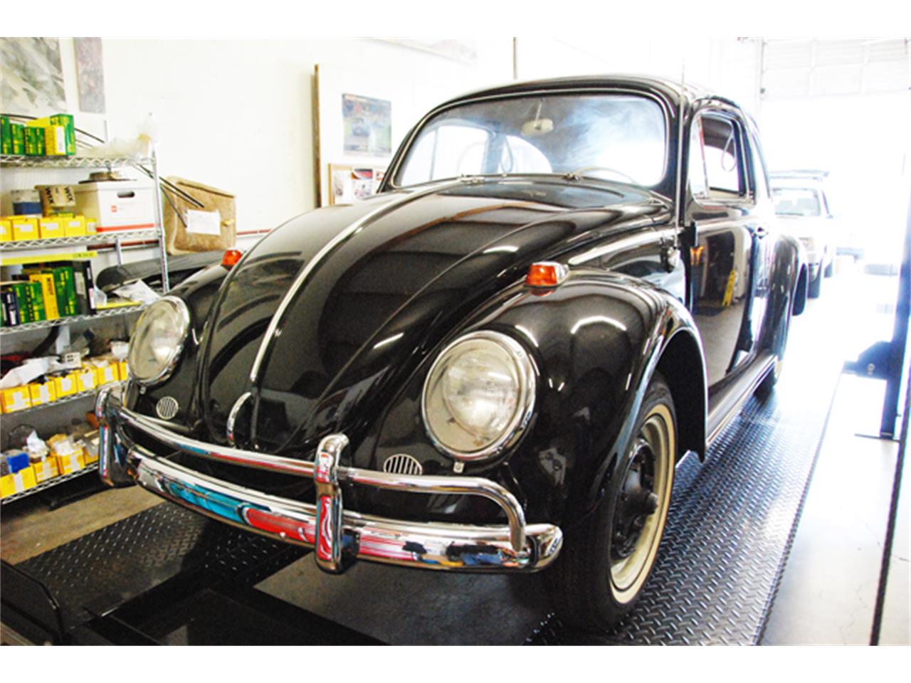 Volkswagen-Beetle-1964-Black-Red-4