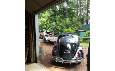 Volkswagen-Beetle-1964-Black-Red-6