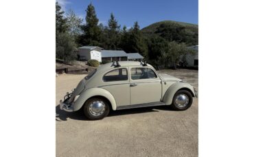 Volkswagen-Beetle-1964-Stock-Beige-Stock-Beige-1