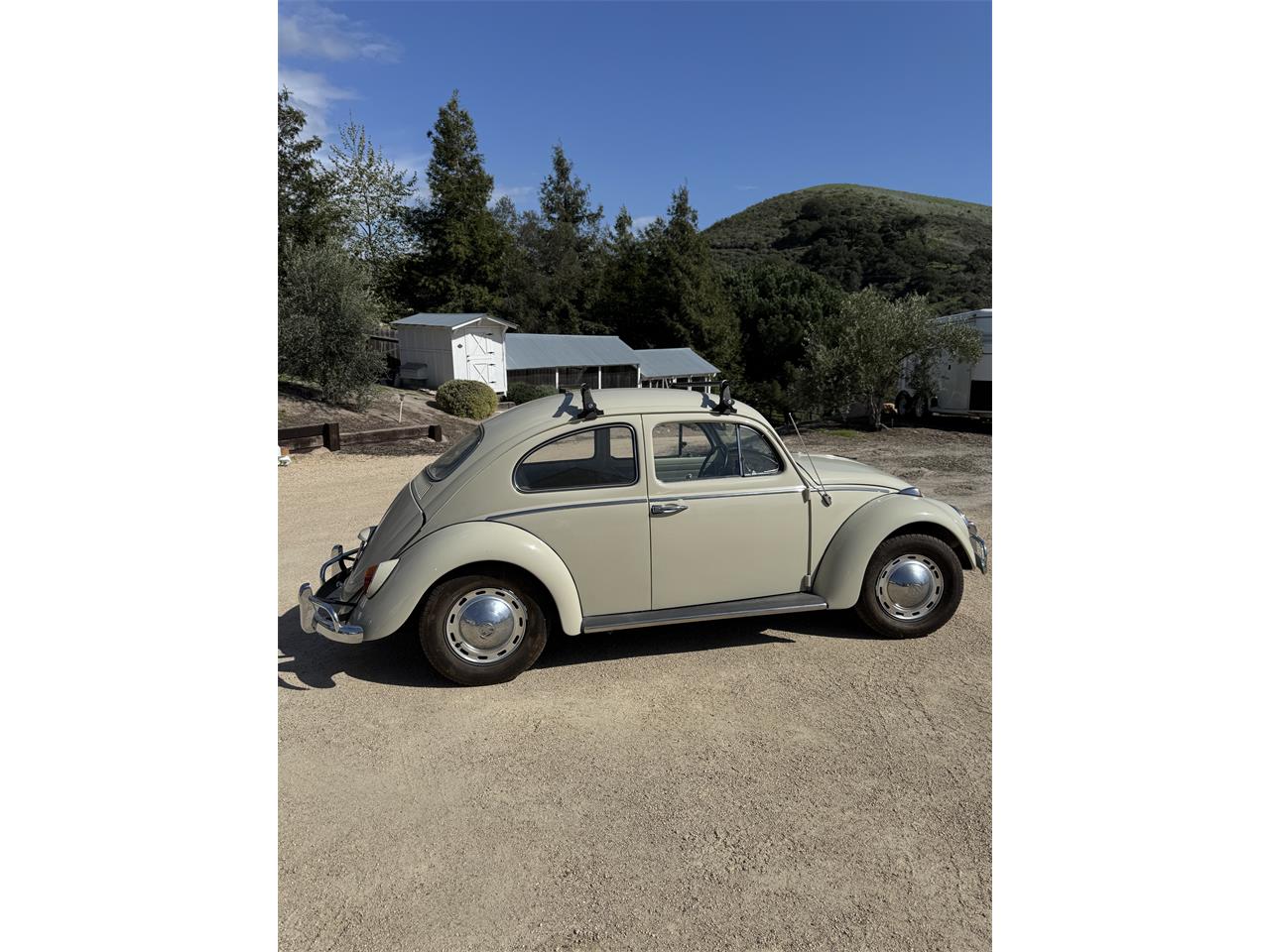 Volkswagen-Beetle-1964-Stock-Beige-Stock-Beige-1