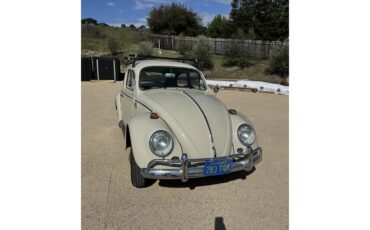 Volkswagen-Beetle-1964-Stock-Beige-Stock-Beige-2