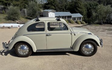 Volkswagen-Beetle-1964-Stock-Beige-Stock-Beige