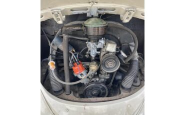 Volkswagen-Beetle-1964-Stock-Beige-Stock-Beige-5