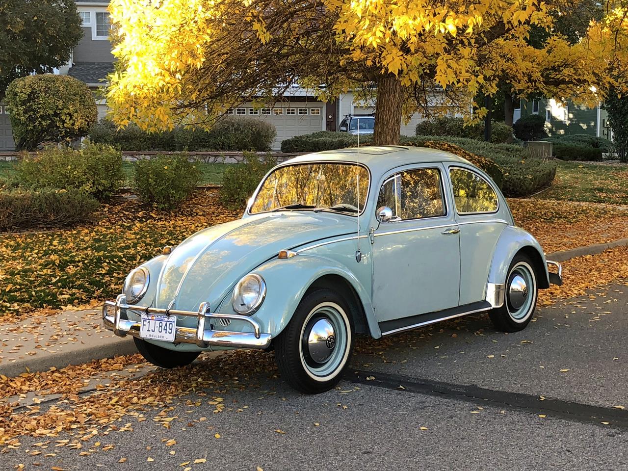 Volkswagen-Beetle-1965-Bahama-Blue-Matching-2