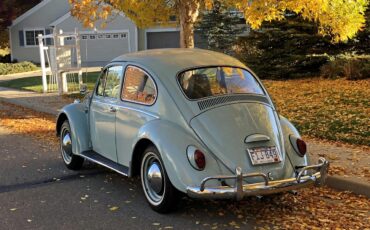 Volkswagen-Beetle-1965-Bahama-Blue-Matching-3