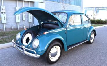 Volkswagen-Beetle-1966-Blue-White-25