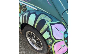 Volkswagen-Beetle-1966-Java-GreenLove-Bug-Java-GreenBlack-11