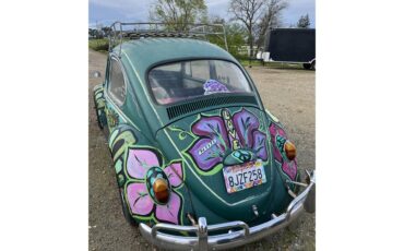Volkswagen-Beetle-1966-Java-GreenLove-Bug-Java-GreenBlack-13