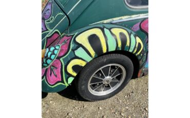 Volkswagen-Beetle-1966-Java-GreenLove-Bug-Java-GreenBlack-28