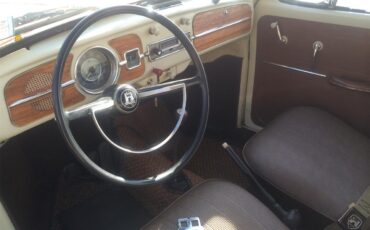Volkswagen-Beetle-1966-Orange-Brown-7