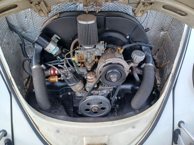 Volkswagen-Beetle-1966-Pearl-White-Pigalle-Red-6