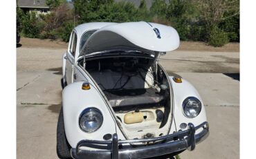 Volkswagen-Beetle-1967-White-Red-amp-White-1