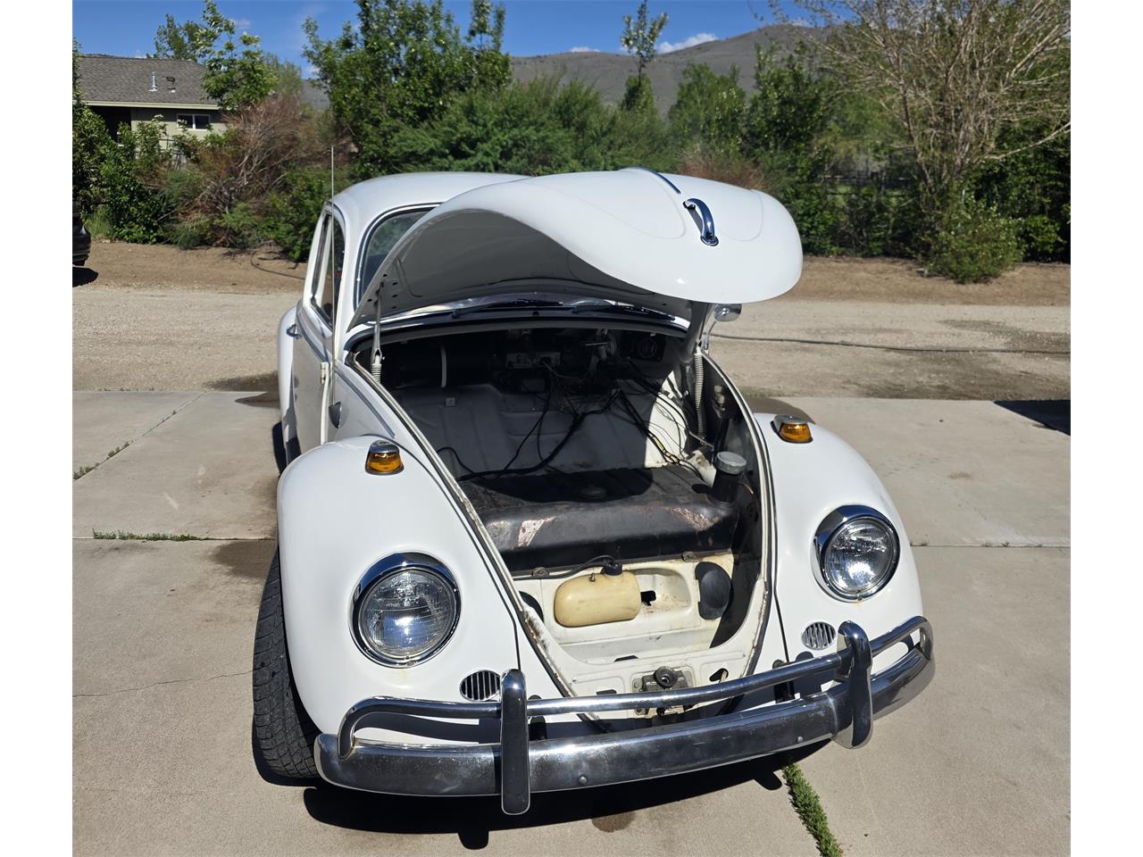 Volkswagen-Beetle-1967-White-Red-amp-White-1