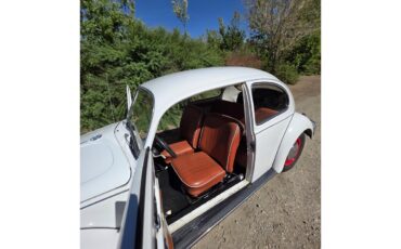 Volkswagen-Beetle-1967-White-Red-amp-White-15
