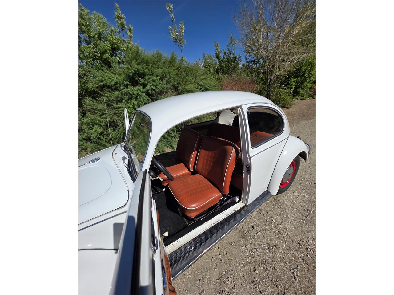 Volkswagen-Beetle-1967-White-Red-amp-White-15