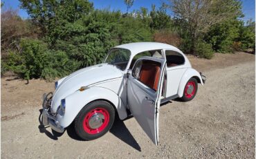 Volkswagen-Beetle-1967-White-Red-amp-White-17