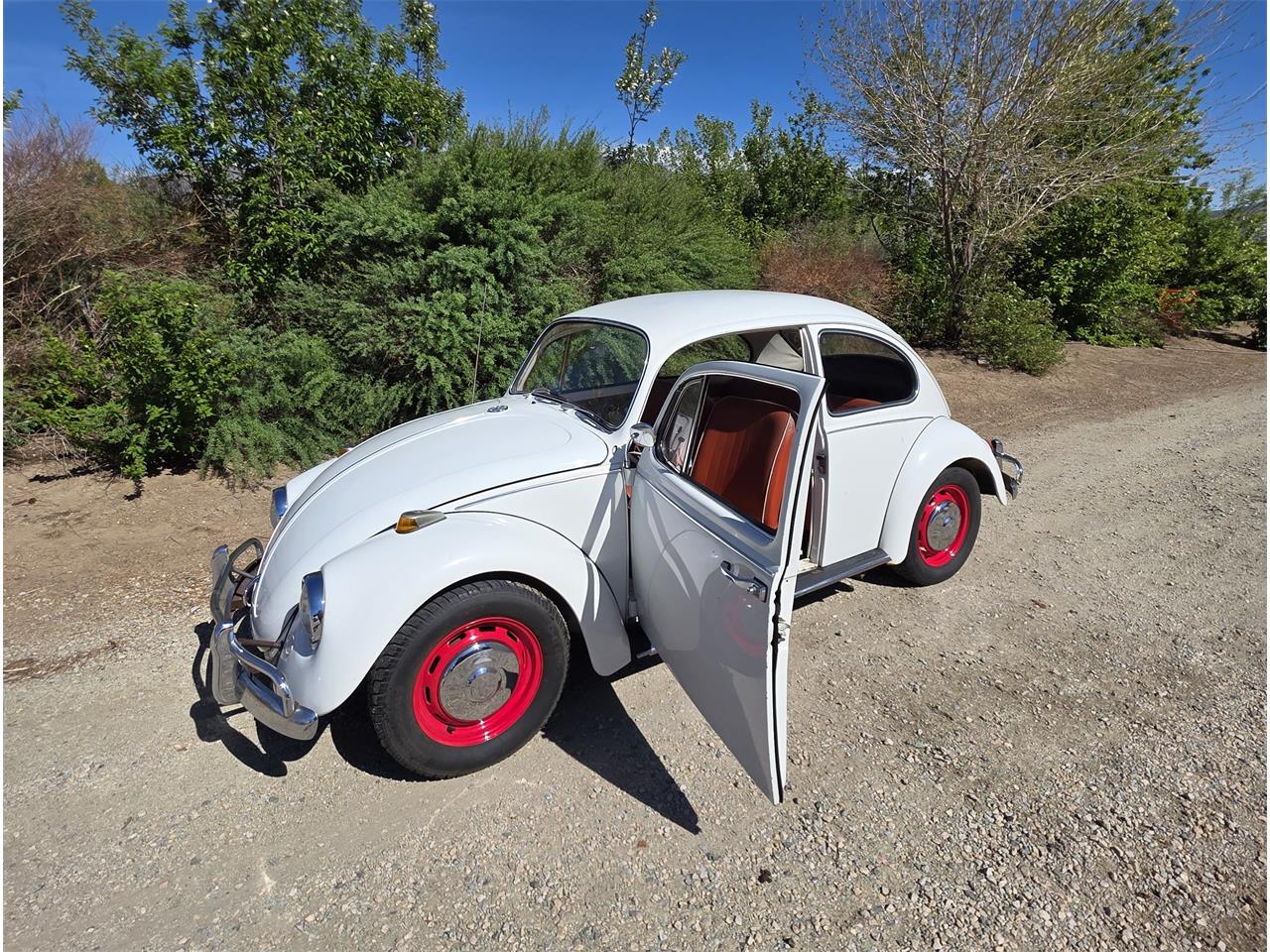 Volkswagen-Beetle-1967-White-Red-amp-White-17