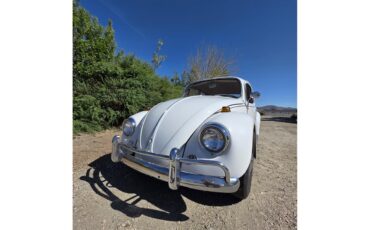 Volkswagen-Beetle-1967-White-Red-amp-White-18