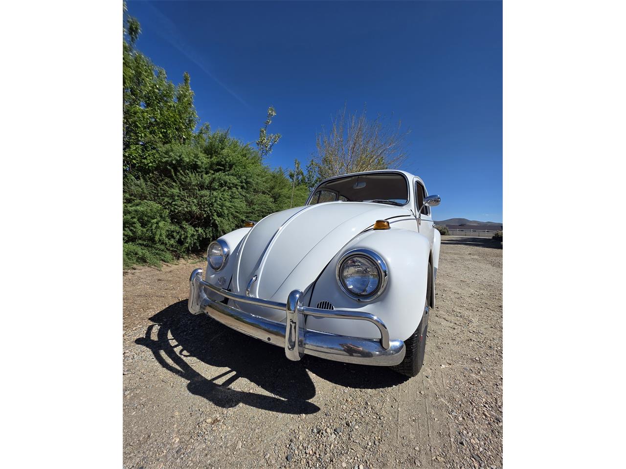 Volkswagen-Beetle-1967-White-Red-amp-White-18