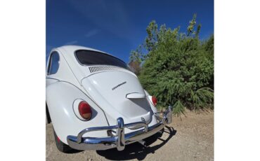 Volkswagen-Beetle-1967-White-Red-amp-White-19