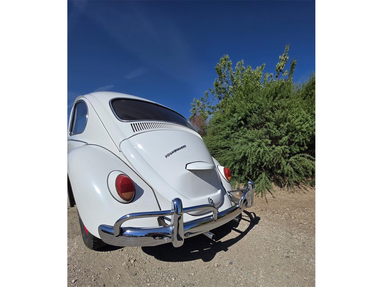 Volkswagen-Beetle-1967-White-Red-amp-White-19