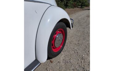 Volkswagen-Beetle-1967-White-Red-amp-White-2