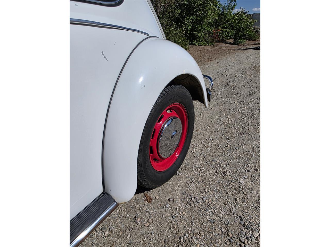 Volkswagen-Beetle-1967-White-Red-amp-White-2