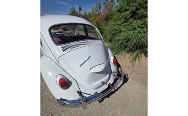 Volkswagen-Beetle-1967-White-Red-amp-White-20