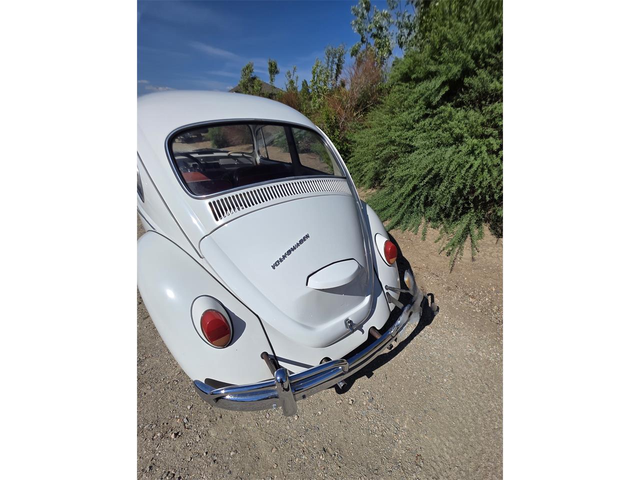 Volkswagen-Beetle-1967-White-Red-amp-White-20