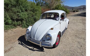 Volkswagen-Beetle-1967-White-Red-amp-White-21