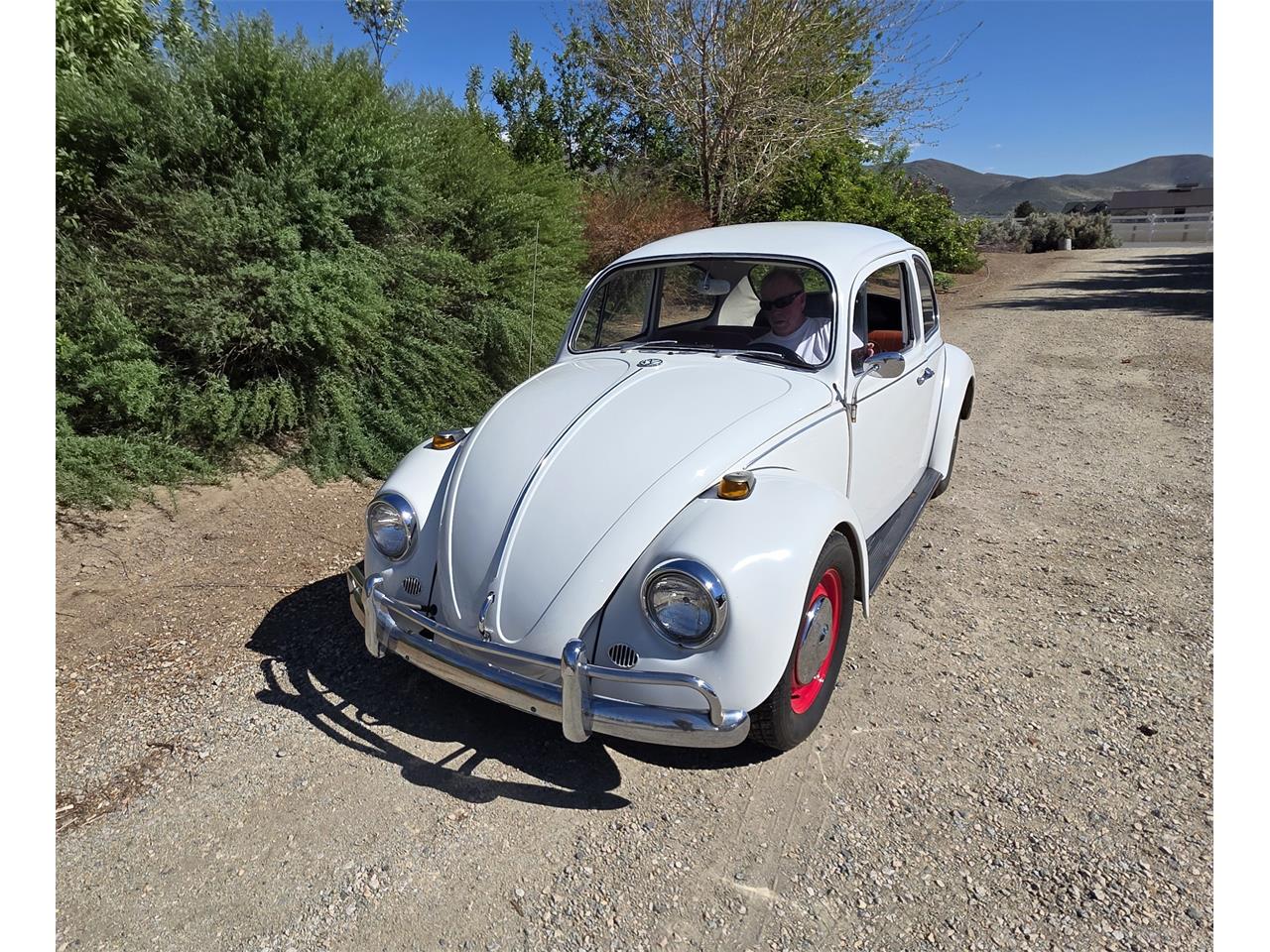 Volkswagen-Beetle-1967-White-Red-amp-White-21