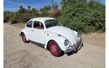 Volkswagen-Beetle-1967-White-Red-amp-White-22