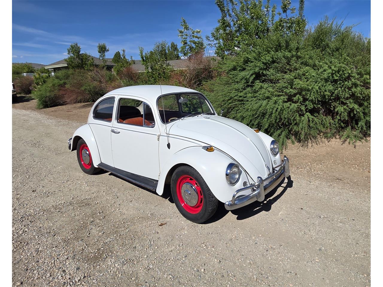Volkswagen-Beetle-1967-White-Red-amp-White-22