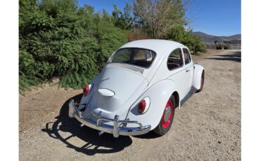 Volkswagen-Beetle-1967-White-Red-amp-White-23
