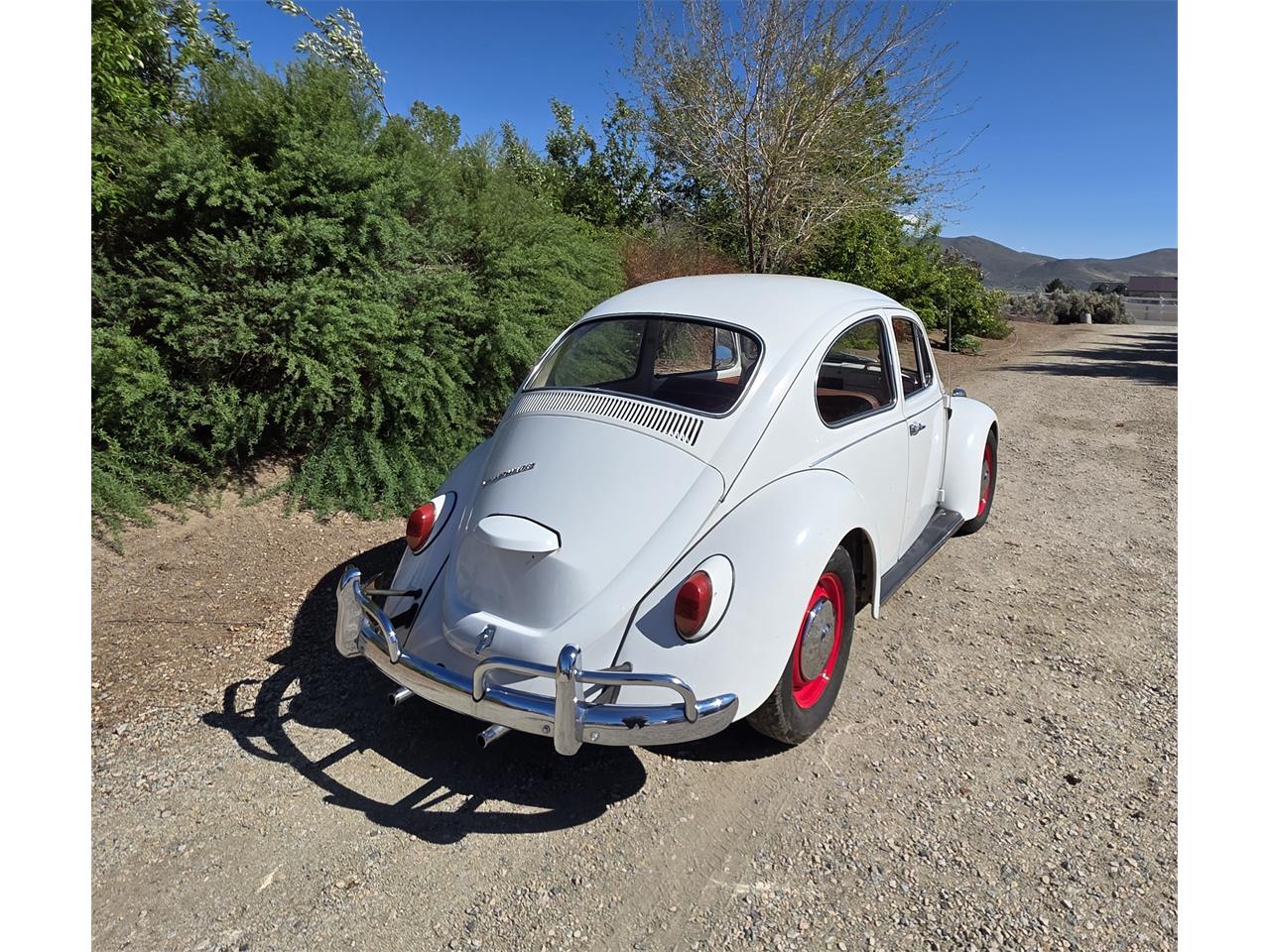 Volkswagen-Beetle-1967-White-Red-amp-White-23