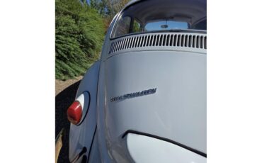 Volkswagen-Beetle-1967-White-Red-amp-White-24