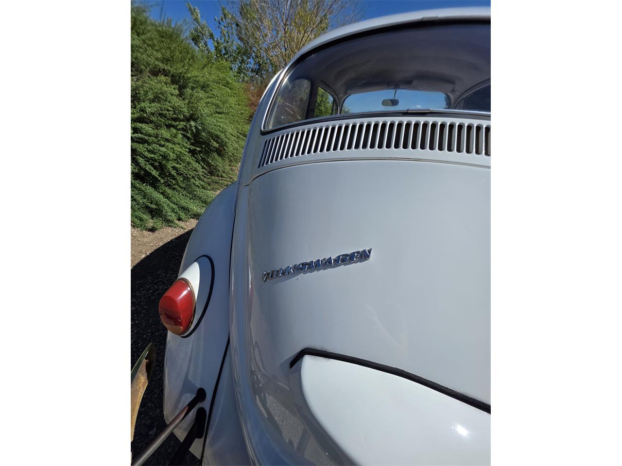 Volkswagen-Beetle-1967-White-Red-amp-White-24