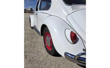 Volkswagen-Beetle-1967-White-Red-amp-White-3