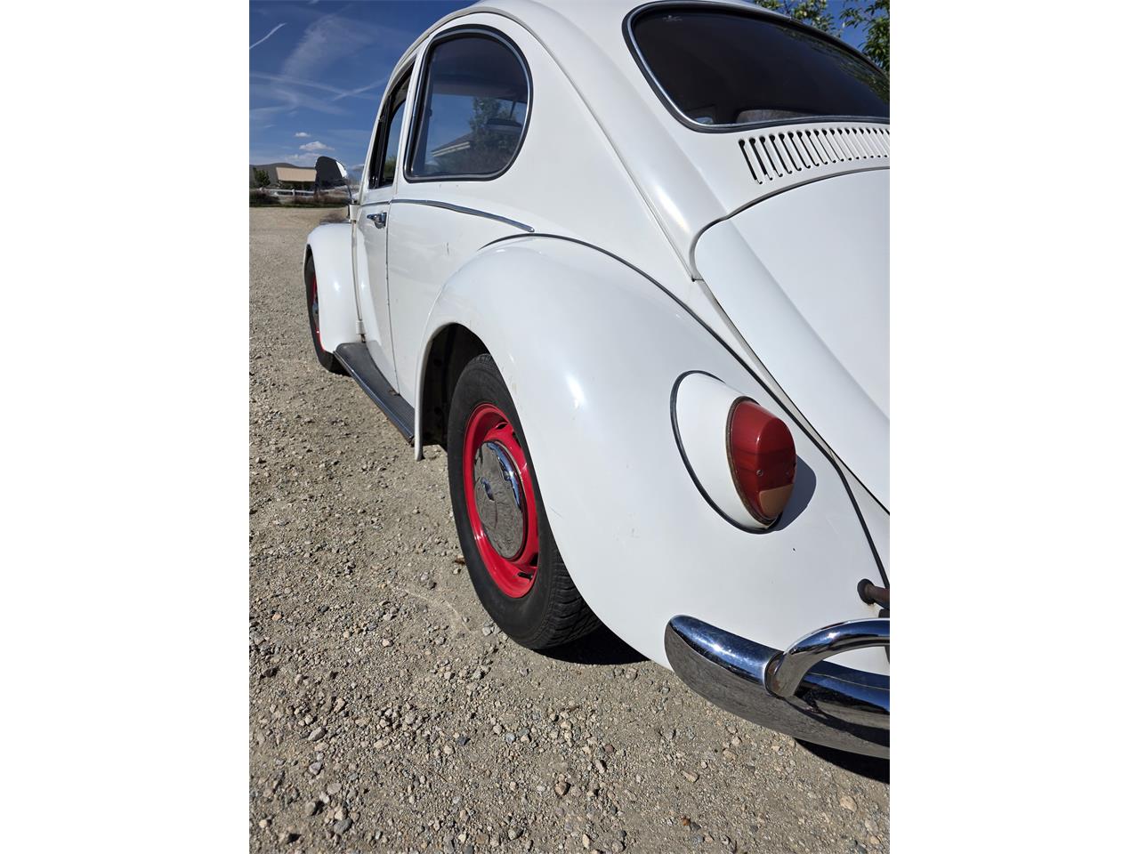 Volkswagen-Beetle-1967-White-Red-amp-White-3
