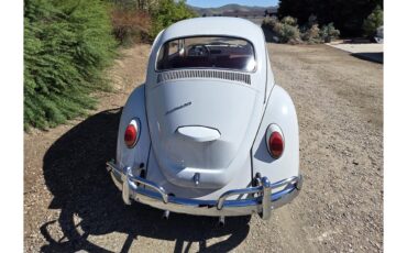 Volkswagen-Beetle-1967-White-Red-amp-White-33