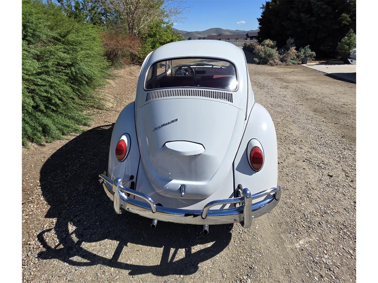 Volkswagen-Beetle-1967-White-Red-amp-White-33