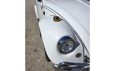 Volkswagen-Beetle-1967-White-Red-amp-White-35