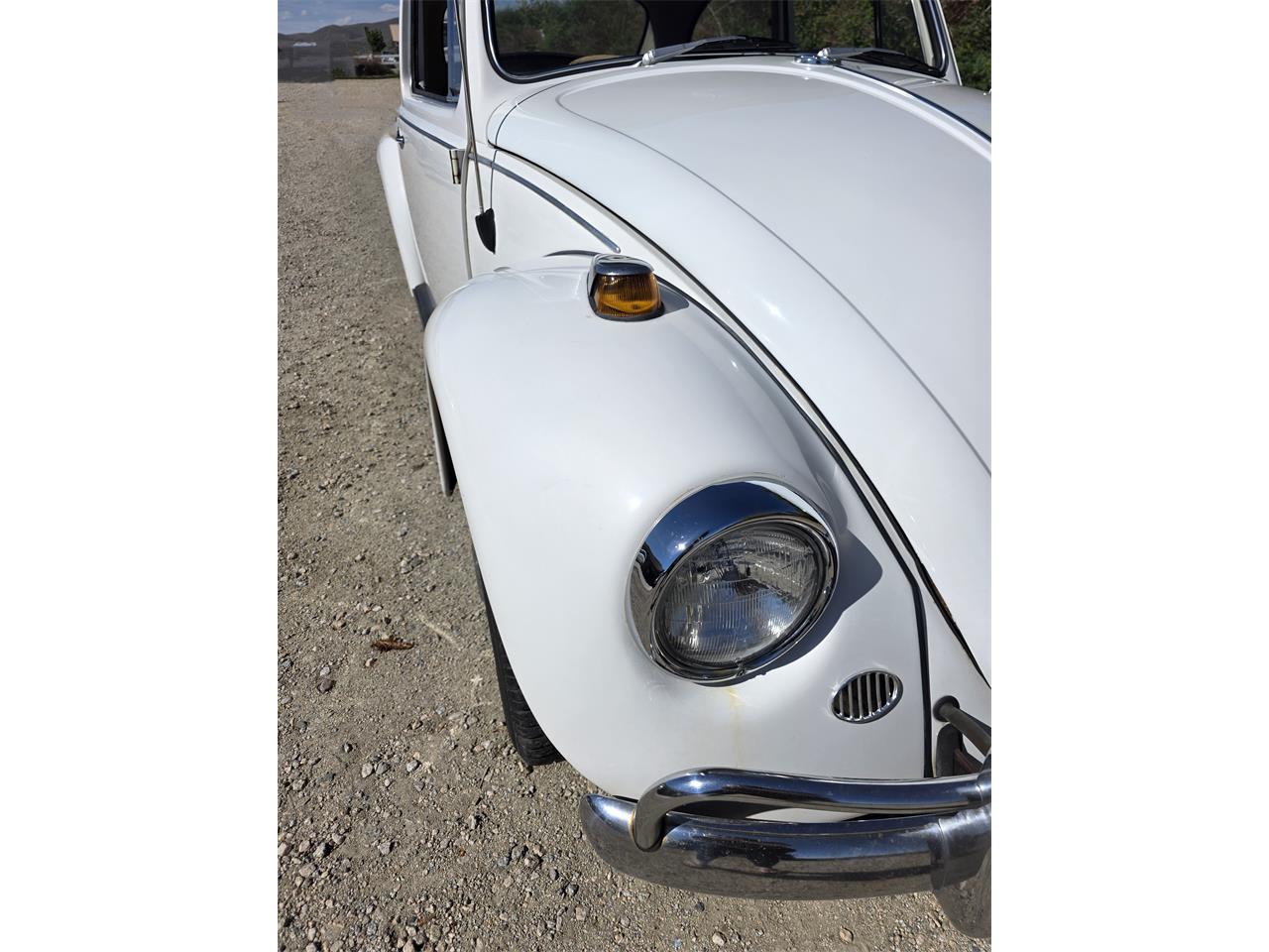 Volkswagen-Beetle-1967-White-Red-amp-White-35