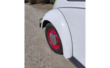 Volkswagen-Beetle-1967-White-Red-amp-White-36