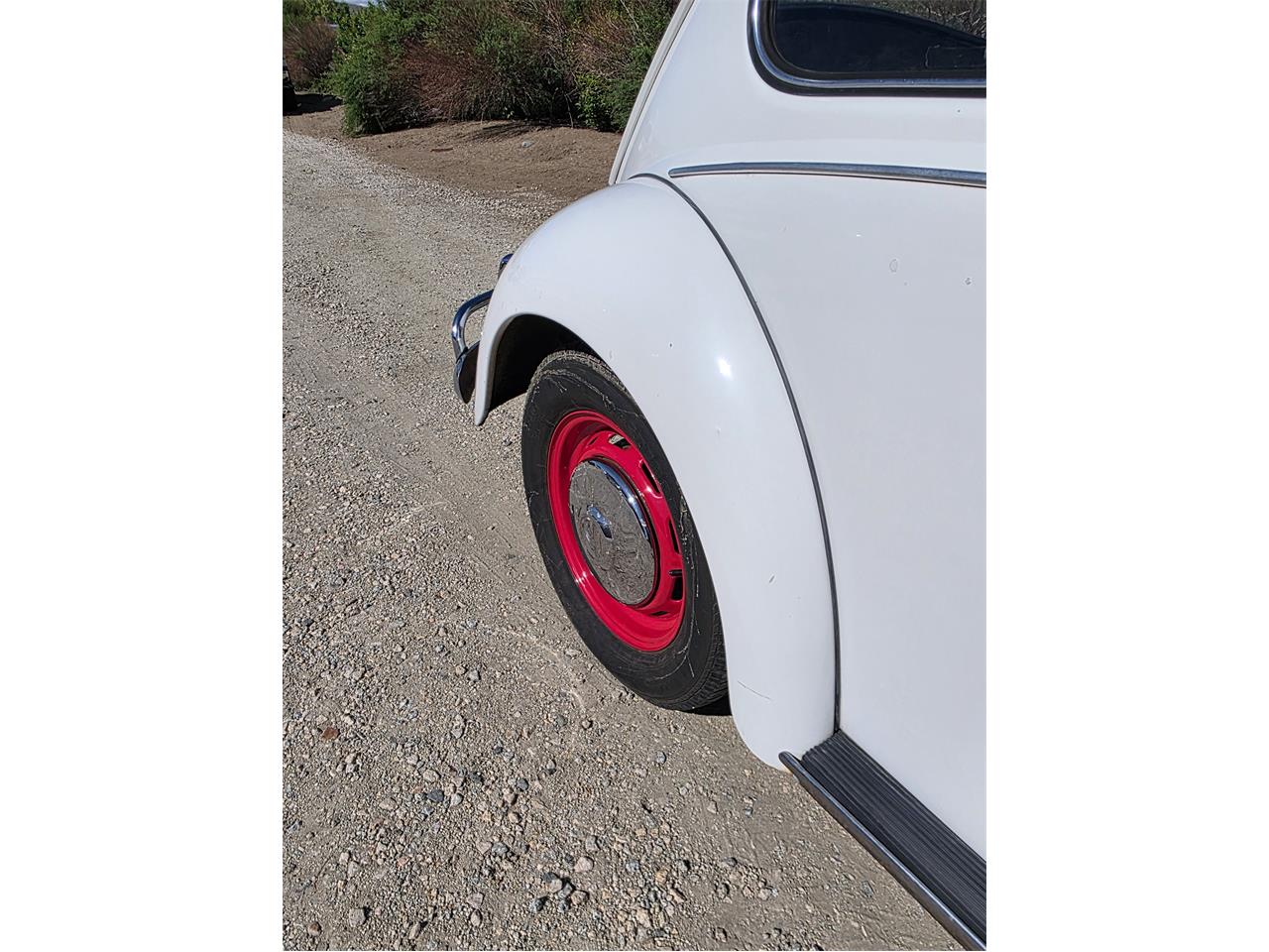 Volkswagen-Beetle-1967-White-Red-amp-White-36