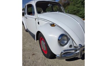 Volkswagen-Beetle-1967-White-Red-amp-White-37