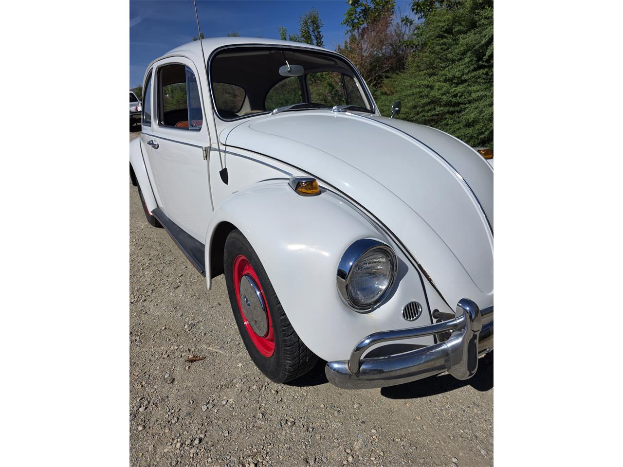 Volkswagen-Beetle-1967-White-Red-amp-White-37