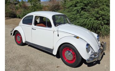 Volkswagen-Beetle-1967-White-Red-amp-White-38