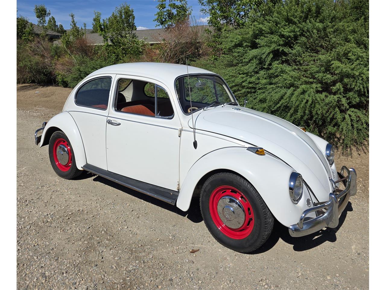 Volkswagen-Beetle-1967-White-Red-amp-White-38