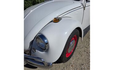 Volkswagen-Beetle-1967-White-Red-amp-White-39